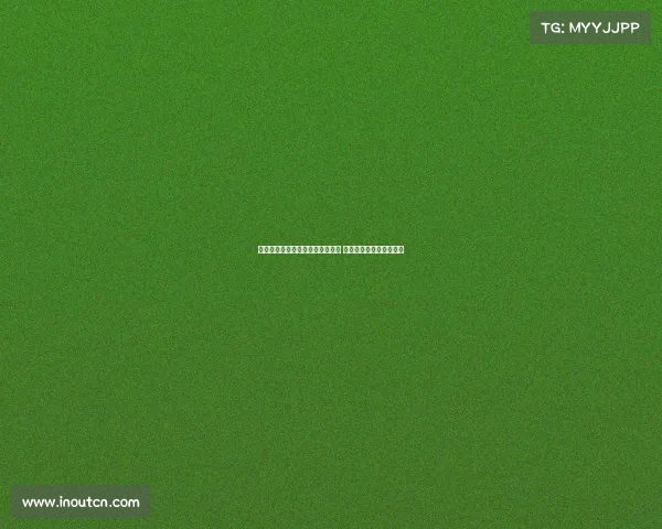 拉赫马尼：当前处于体能强化阶段 更衣室氛围良好积极向上